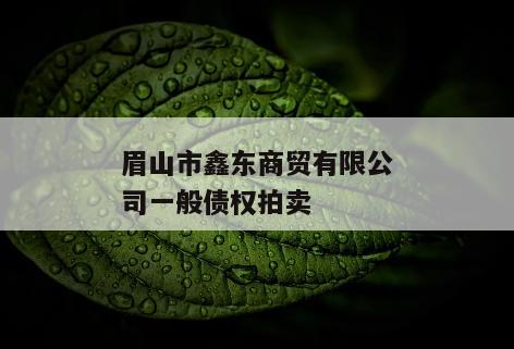 眉山市鑫东商贸有限公司一般债权拍卖