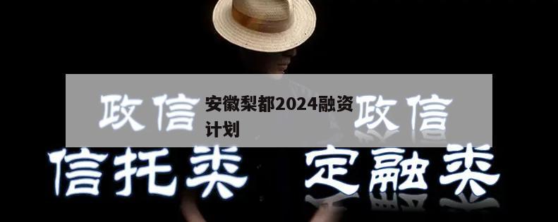 安徽梨都2024融资计划