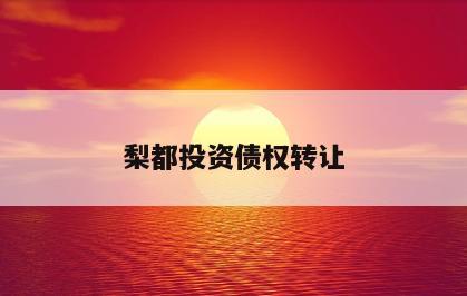 梨都投资债权转让