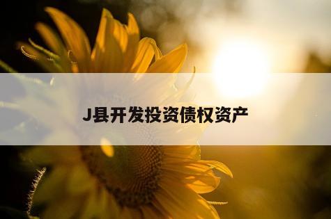 J县开发投资债权资产
