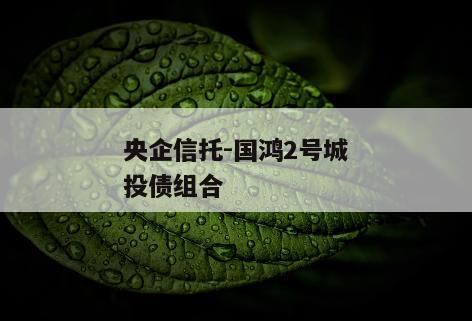 央企信托-国鸿2号城投债组合