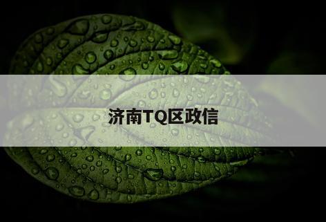 济南TQ区政信