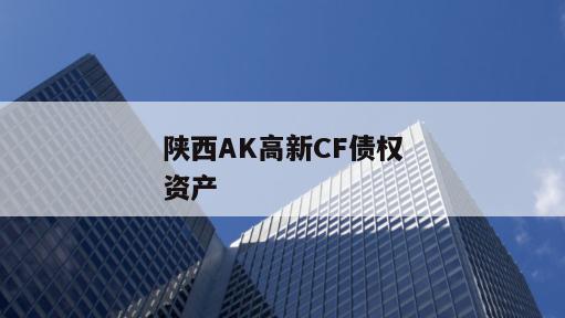 陕西AK高新CF债权资产