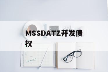 MSSDATZ开发债权