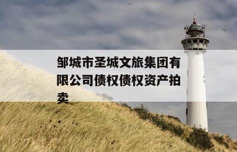 邹城市圣城文旅集团有限公司债权债权资产拍卖