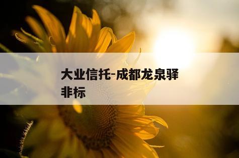 大业信托-成都龙泉驿非标