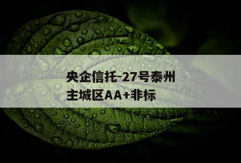 央企信托-27号泰州主城区AA+非标