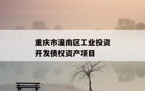重庆市潼南区工业投资开发债权资产项目