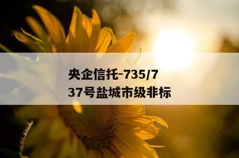 央企信托-735/737号盐城市级非标