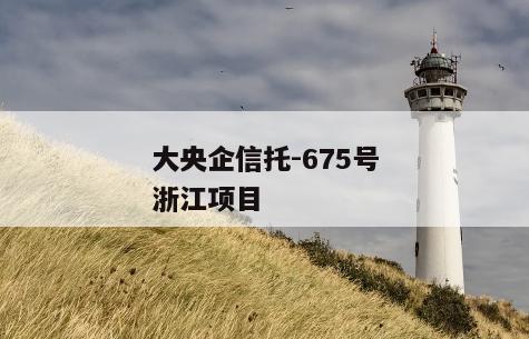 大央企信托-675号浙江项目