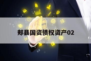 郏县国资债权资产02