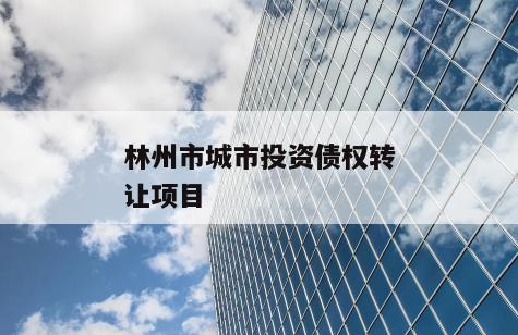 林州市城市投资债权转让项目