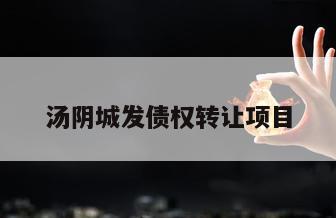 汤阴城发债权转让项目