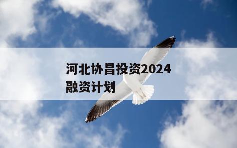 河北协昌投资2024融资计划