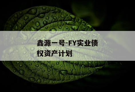 鑫源一号-FY实业债权资产计划 鑫源一号-FY实业债权资产计划