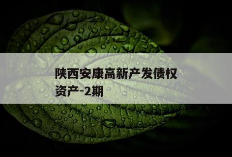 陕西安康高新产发债权资产-2期