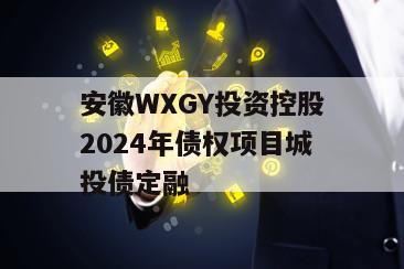 安徽WXGY投资控股2024年债权项目城投债定融