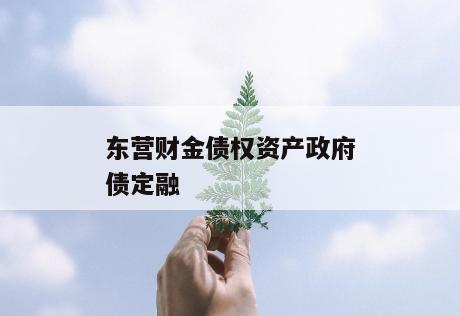 东营财金债权资产政府债定融