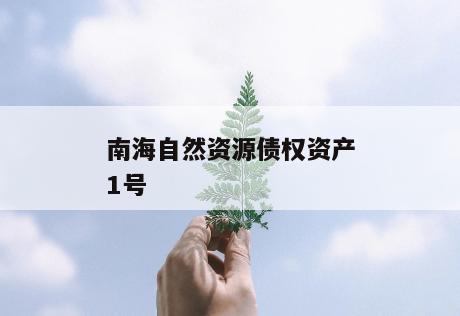 南海自然资源债权资产1号