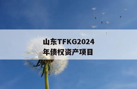山东TFKG2024年债权资产项目