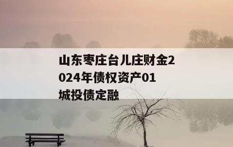 山东枣庄台儿庄财金2024年债权资产01城投债定融