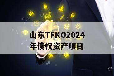 山东TFKG2024年债权资产项目