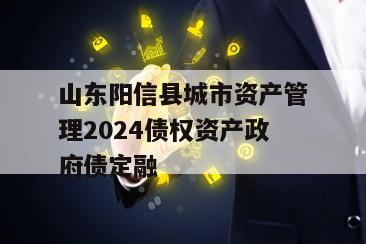 山东阳信县城市资产管理2024债权资产政府债定融