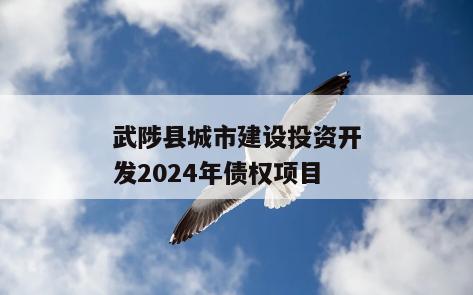 武陟县城市建设投资开发2024年债权项目