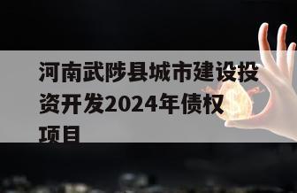 河南武陟县城市建设投资开发2024年债权项目