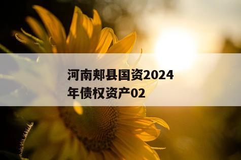 河南郏县国资2024年债权资产02