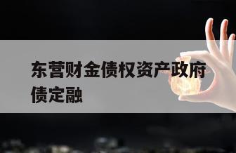 东营财金债权资产政府债定融