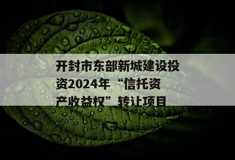 开封市东部新城建设投资2024年“信托资产收益权”转让项目