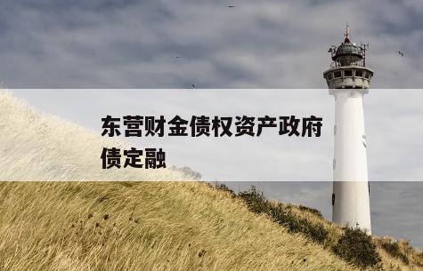 东营财金债权资产政府债定融