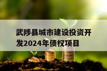 武陟县城市建设投资开发2024年债权项目