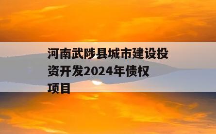 河南武陟县城市建设投资开发2024年债权项目