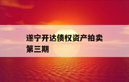遂宁开达债权资产拍卖第三期