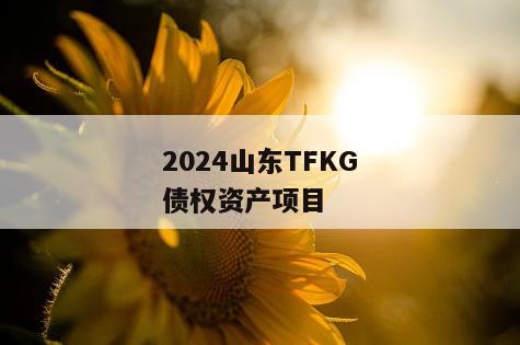 2024山东TFKG债权资产项目 2024山东TFKG债权资产项目