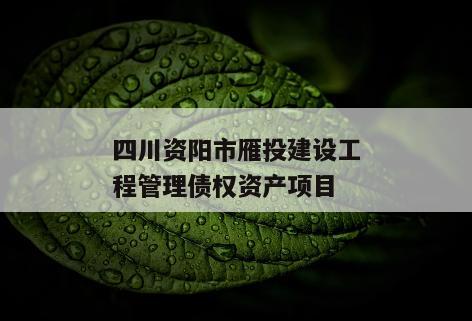 四川资阳市雁投建设工程管理债权资产项目