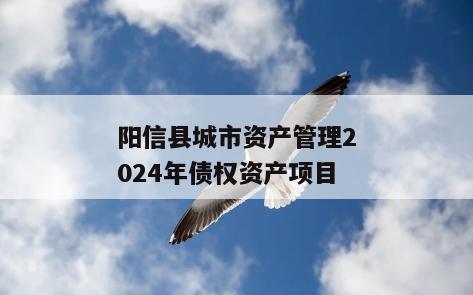 阳信县城市资产管理2024年债权资产项目