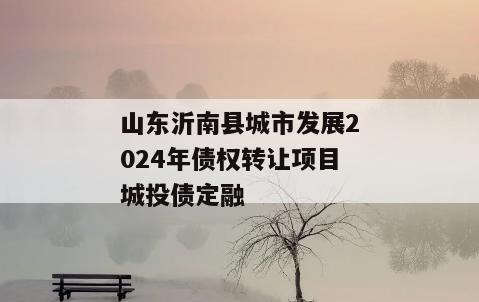 山东沂南县城市发展2024年债权转让项目城投债定融