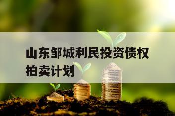 山东邹城利民投资债权拍卖计划
