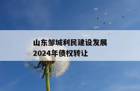 山东邹城利民建设发展2024年债权转让