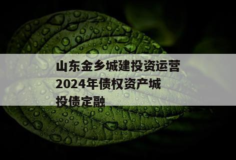 山东金乡城建投资运营2024年债权资产城投债定融
