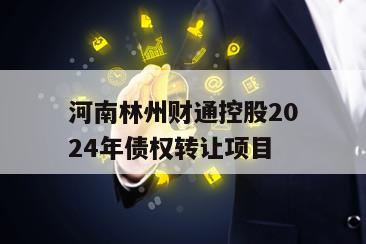 河南林州财通控股2024年债权转让项目