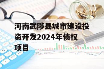 河南武陟县城市建设投资开发2024年债权项目