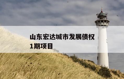 山东宏达城市发展债权1期项目