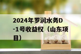 2024年罗润水务D-1号收益权(山东项目) 2024年罗润水务D-1号收益权(山东项目)