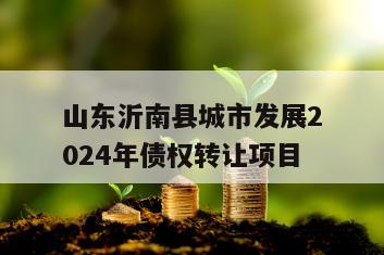 山东沂南县城市发展2024年债权转让项目