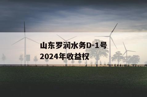 山东罗润水务D-1号2024年收益权