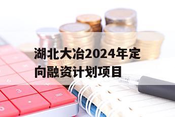 湖北大冶2024年定向融资计划项目
